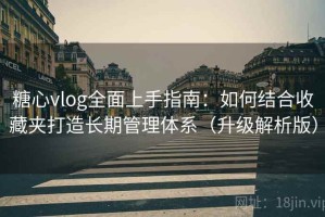 糖心vlog全面上手指南：如何结合收藏夹打造长期管理体系（升级解析版）