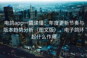 电鸽app一篇读懂：年度更新节奏与版本趋势分析（图文版），电子鸽环起什么作用