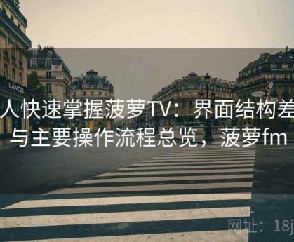 懒人快速掌握菠萝TV：界面结构差异与主要操作流程总览，菠萝fm