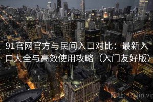 91官网官方与民间入口对比：最新入口大全与高效使用攻略（入门友好版）