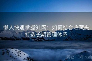 懒人快速掌握91网：如何结合收藏夹打造长期管理体系