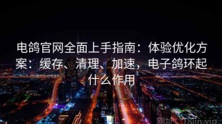电鸽官网全面上手指南：体验优化方案：缓存、清理、加速，电子鸽环起什么作用