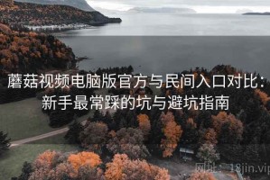 蘑菇视频电脑版官方与民间入口对比：新手最常踩的坑与避坑指南