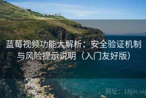 蓝莓视频功能大解析：安全验证机制与风险提示说明（入门友好版）