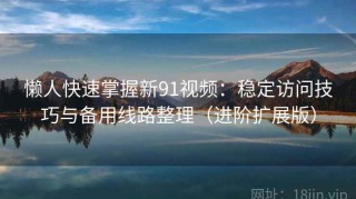 懒人快速掌握新91视频：稳定访问技巧与备用线路整理（进阶扩展版）