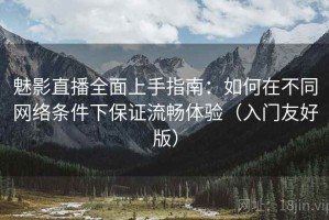 魅影直播全面上手指南：如何在不同网络条件下保证流畅体验（入门友好版）