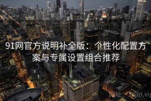 91网官方说明补全版：个性化配置方案与专属设置组合推荐