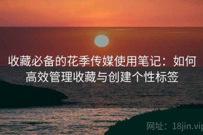 收藏必备的花季传媒使用笔记：如何高效管理收藏与创建个性标签