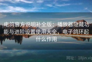 电鸽官方说明补全版：播放器隐藏功能与进阶设置使用大全，电子鸽环起什么作用