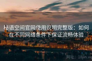 秘语空间官网使用说明完整版：如何在不同网络条件下保证流畅体验
