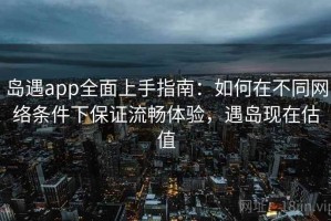 岛遇app全面上手指南：如何在不同网络条件下保证流畅体验，遇岛现在估值