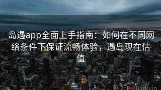 岛遇app全面上手指南：如何在不同网络条件下保证流畅体验，遇岛现在估值