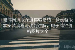 电鸽网页版深度体验总结：多设备版本安装流程与功能讲解，电子鸽钟价格图片大全