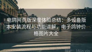 电鸽网页版深度体验总结：多设备版本安装流程与功能讲解，电子鸽钟价格图片大全