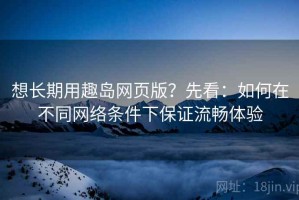 想长期用趣岛网页版？先看：如何在不同网络条件下保证流畅体验