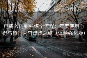 电鸽入门到熟练全流程：年度使用心得与热门内容盘点总结（体验强化版）