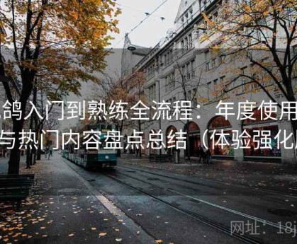 电鸽入门到熟练全流程：年度使用心得与热门内容盘点总结（体验强化版）