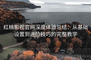 红桃影视官网深度体验总结：从基础设置到进阶技巧的完整教学