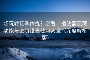 想玩转花季传媒？必看：播放器隐藏功能与进阶设置使用大全（深度解析版）