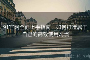 91官网全面上手指南：如何打造属于自己的高效使用习惯