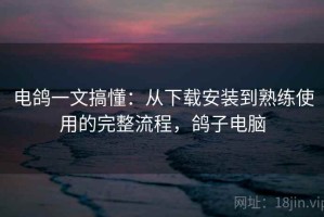 电鸽一文搞懂：从下载安装到熟练使用的完整流程，鸽子电脑
