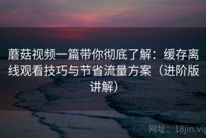 蘑菇视频一篇带你彻底了解：缓存离线观看技巧与节省流量方案（进阶版讲解）