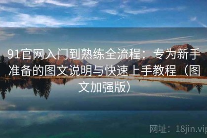 91官网入门到熟练全流程：专为新手准备的图文说明与快速上手教程（图文加强版）
