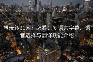 想玩转91网？必看：多语言字幕、语音选择与翻译功能介绍