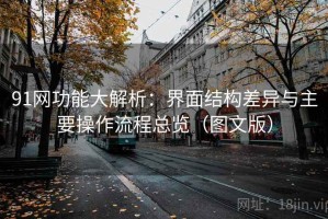91网功能大解析：界面结构差异与主要操作流程总览（图文版）