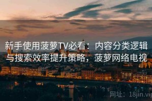 新手使用菠萝TV必看：内容分类逻辑与搜索效率提升策略，菠萝网络电视