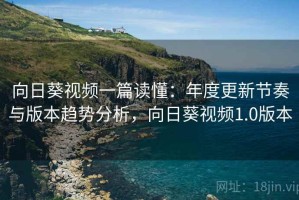 向日葵视频一篇读懂：年度更新节奏与版本趋势分析，向日葵视频1.0版本