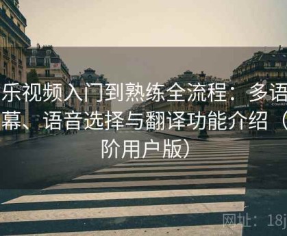 芭乐视频入门到熟练全流程：多语言字幕、语音选择与翻译功能介绍（高阶用户版）
