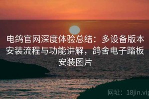 电鸽官网深度体验总结：多设备版本安装流程与功能讲解，鸽舍电子踏板安装图片