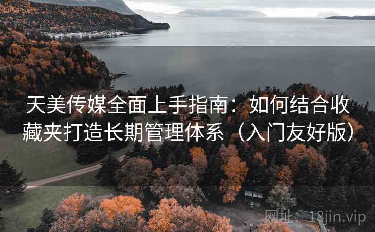 天美传媒全面上手指南：如何结合收藏夹打造长期管理体系（入门友好版）