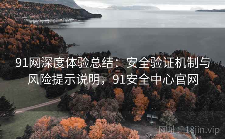 91网深度体验总结:安全验证机制与风险提示说明,91安全中心官网 91网深度体验总结:安全验证机制与风险提示说明,91安全中心官网