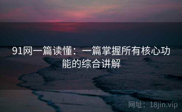 91网一篇读懂：一篇掌握所有核心功能的综合讲解