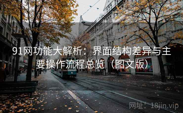 91网功能大解析：界面结构差异与主要操作流程总览（图文版）