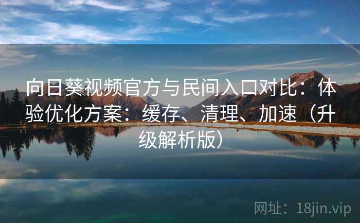 向日葵视频官方与民间入口对比：体验优化方案：缓存、清理、加速（升级解析版）
