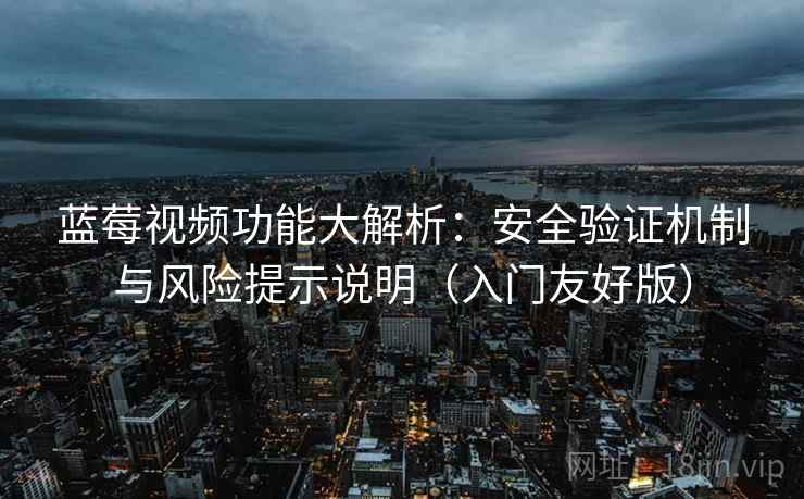 蓝莓视频功能大解析:安全验证机制与风险提示说明(入门友好版) 蓝莓视频功能大解析:安全验证机制与风险提示说明(入门友好版)