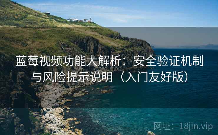 蓝莓视频功能大解析:安全验证机制与风险提示说明(入门友好版) 蓝莓视频功能大解析:安全验证机制与风险提示说明(入门友好版)