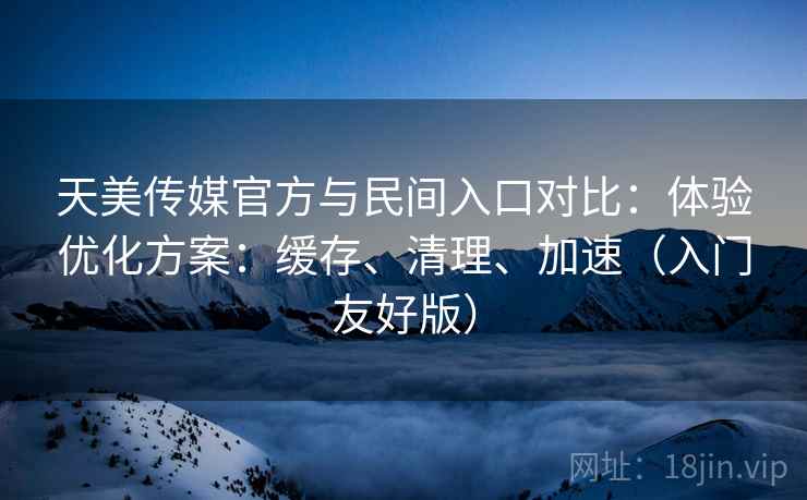 天美传媒官方与民间入口对比：体验优化方案：缓存、清理、加速（入门友好版）