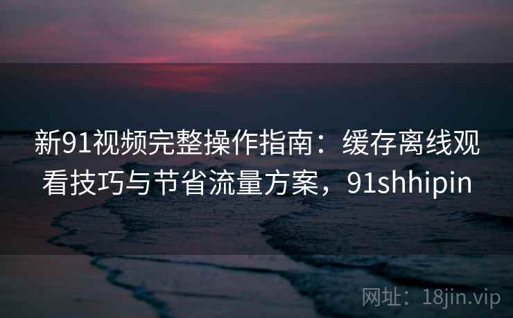 新91视频完整操作指南：缓存离线观看技巧与节省流量方案，91shhipin