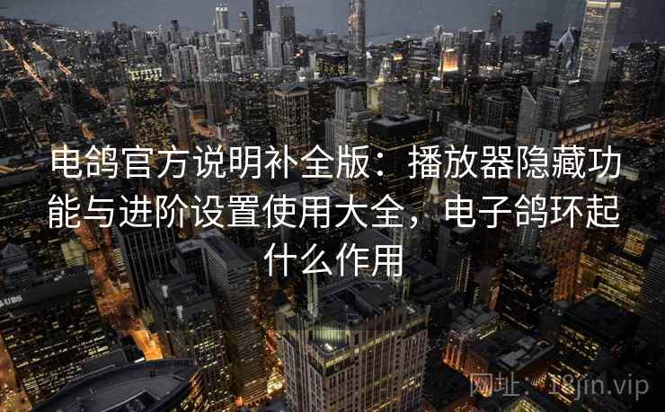 电鸽官方说明补全版：播放器隐藏功能与进阶设置使用大全，电子鸽环起什么作用
