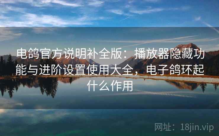 电鸽官方说明补全版：播放器隐藏功能与进阶设置使用大全，电子鸽环起什么作用