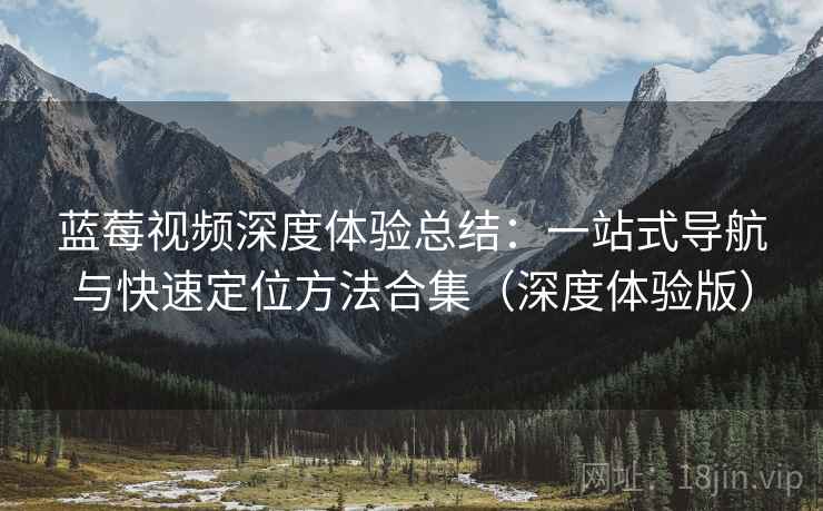蓝莓视频深度体验总结：一站式导航与快速定位方法合集（深度体验版）