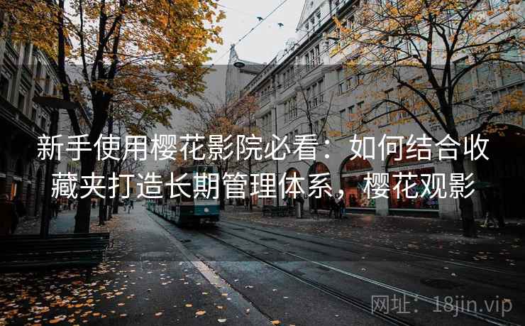 新手使用樱花影院必看：如何结合收藏夹打造长期管理体系，樱花观影