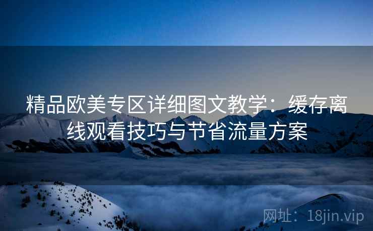 精品欧美专区详细图文教学：缓存离线观看技巧与节省流量方案