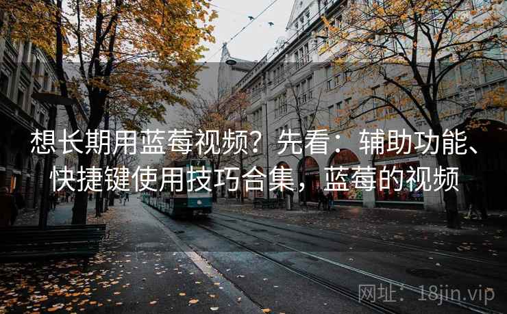 想长期用蓝莓视频？先看：辅助功能、快捷键使用技巧合集，蓝莓的视频
