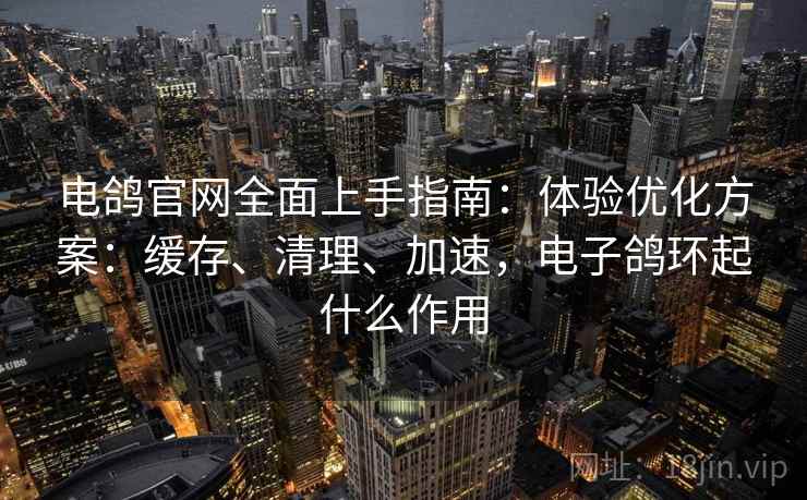 电鸽官网全面上手指南：体验优化方案：缓存、清理、加速，电子鸽环起什么作用