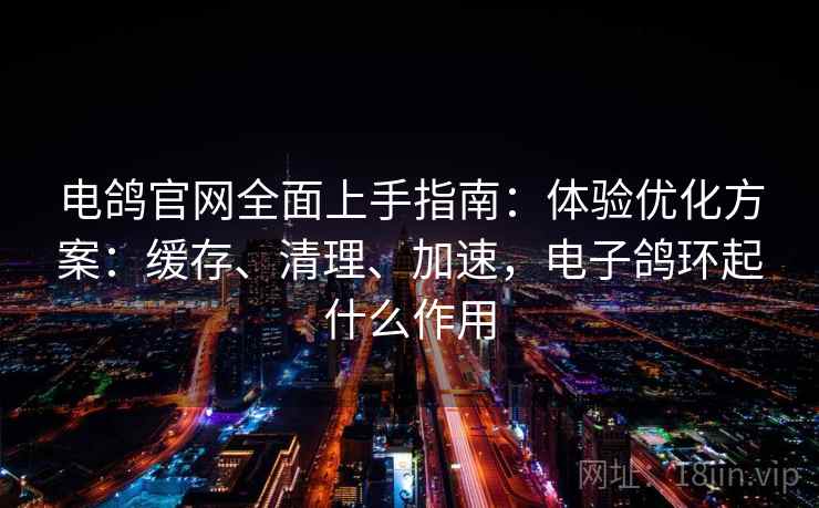 电鸽官网全面上手指南：体验优化方案：缓存、清理、加速，电子鸽环起什么作用